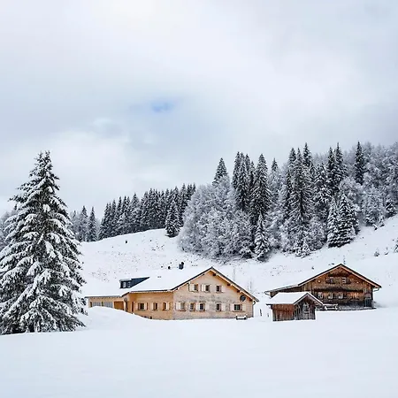 Hammerle Haus Alojamento de Turismo Selvagem Schröcken